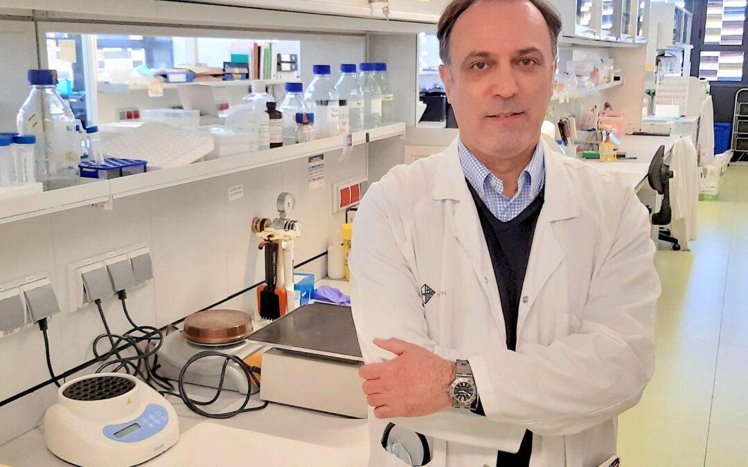 Tumori: nuova terapia CAR-T efficace in pazienti con linfoma di tipo refrattario
