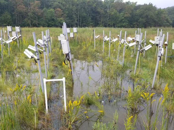 I cambiamenti climatici stanno facendo aumentare le emissioni di metano