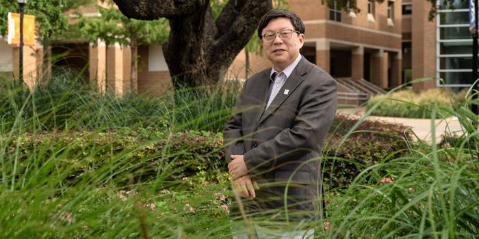 Un rivoluzionario modello matematico predice il sorgere delle malattie delle colture