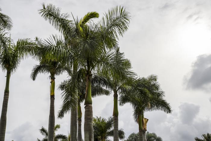 Florida, cittadini sempre più in ansia per i costi assicurativi legati al climate change