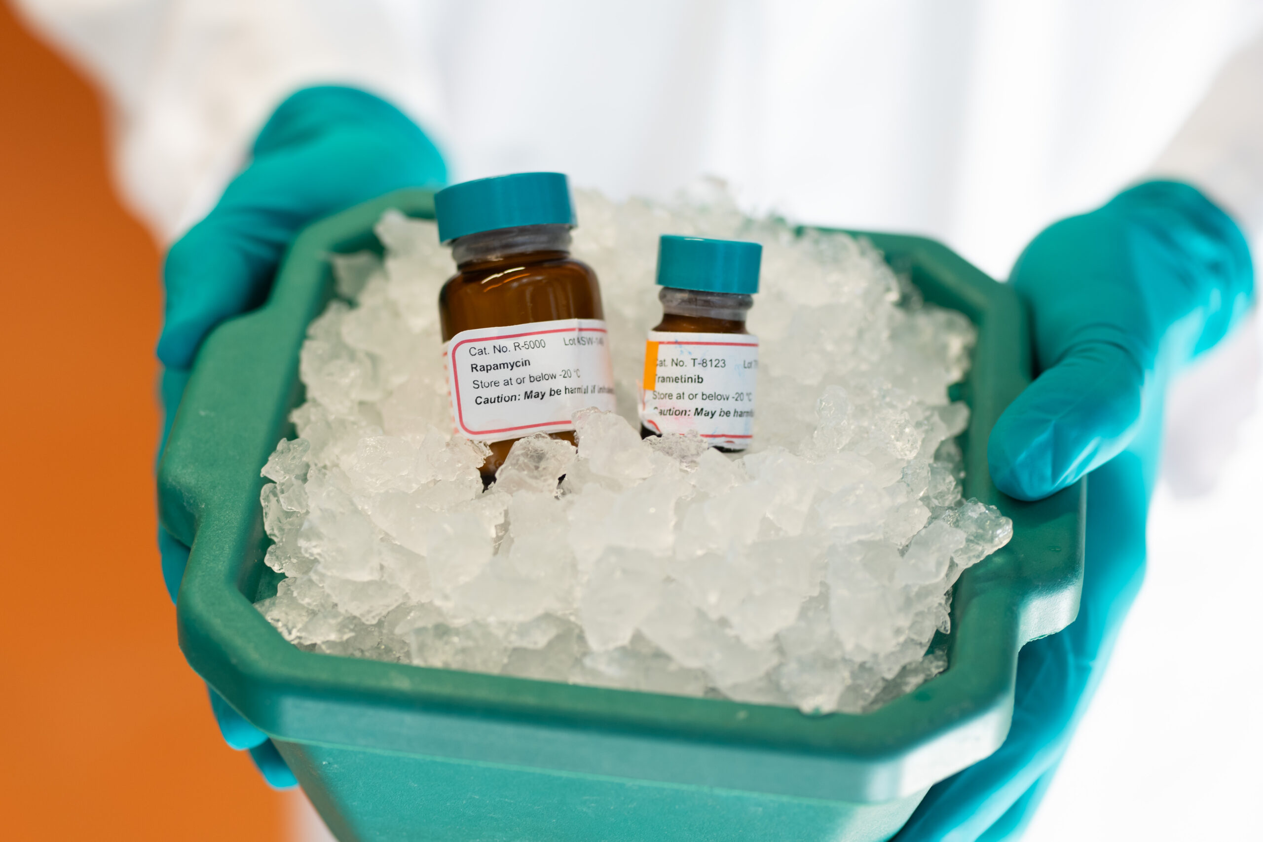 Sebastian Grönkepress photo with Rapamycin + Trametinib