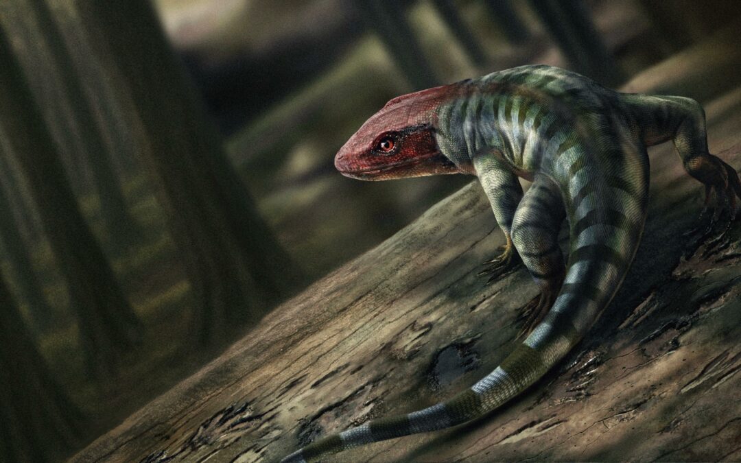 Scoperte le prime impronte di rettili, hanno 356 milioni di anni