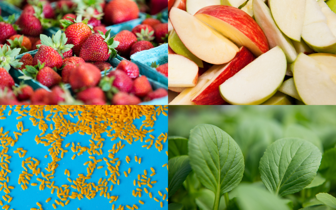 Per un invecchiamento sano, la qualità dei carboidrati conta
