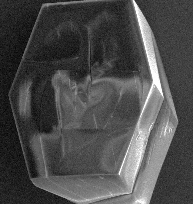 Svelato il ruolo dello spin elettronico nel trasferimento di energia nelle cellule