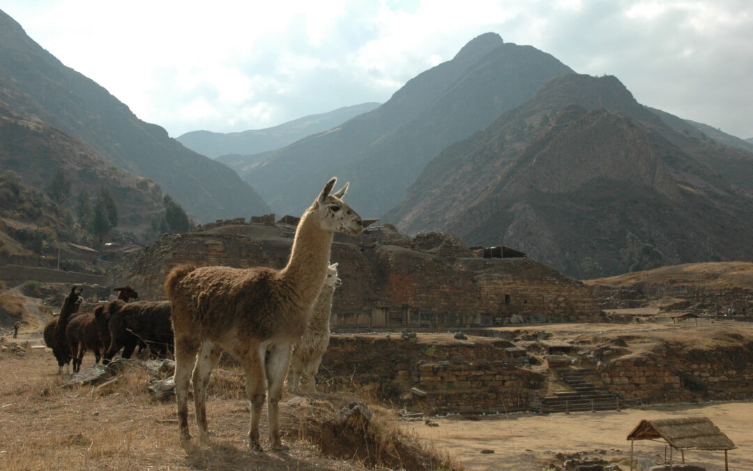I Chavín del Perù usavano gli allucinogeni a scopo sociale 2000 prima degli Inca