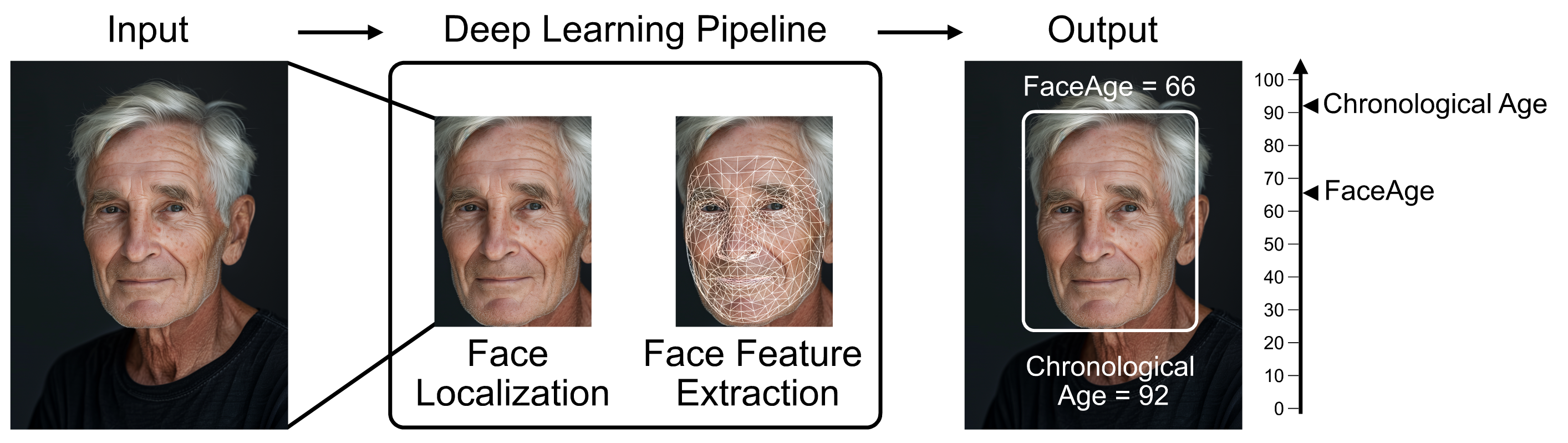 FaceAge graphical depiction on AI generated man