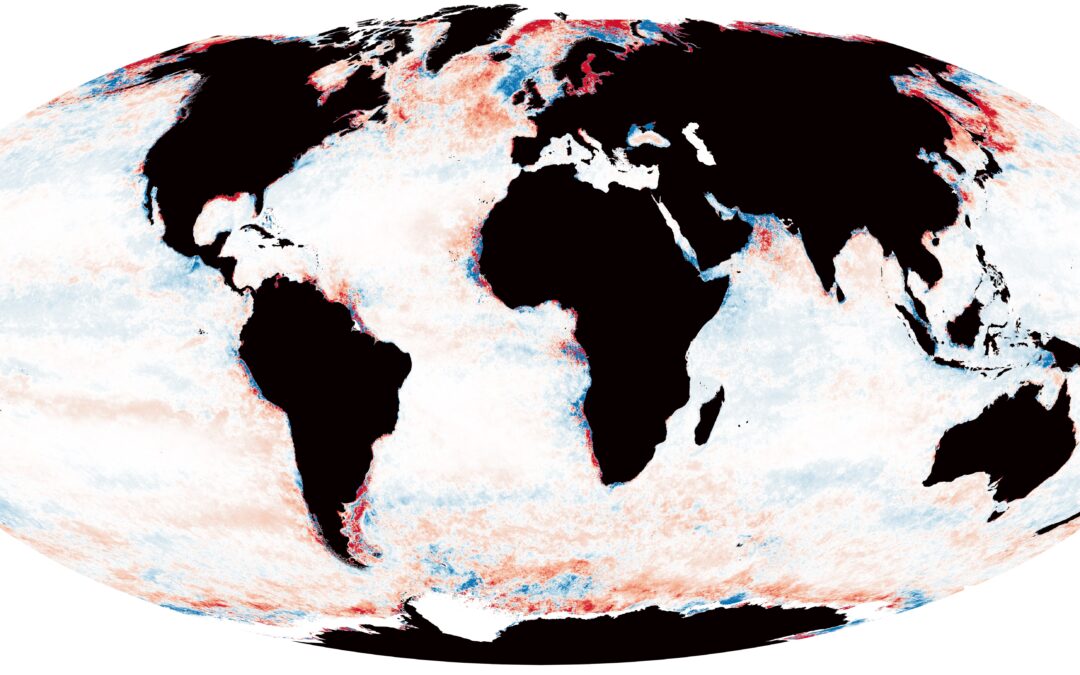 L’oceano sta diventando più scuro