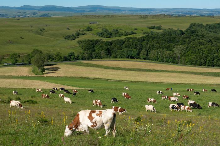 Il climate change sta cambiando anche la qualità dei formaggi