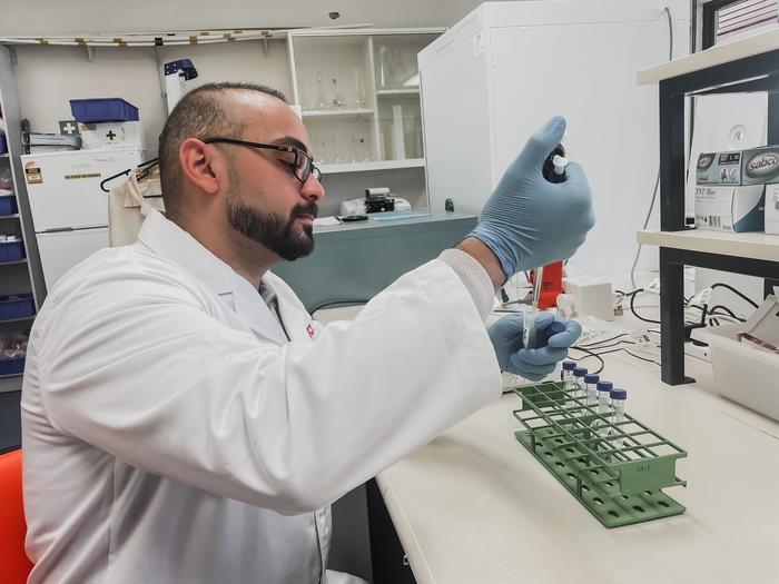 Ora anche le insalate sono state raggiunte dall’inquinamento da microplastiche