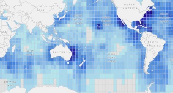 Rivoluzionaria mappa online mostra le rotte di migrazione di oltre 100 specie marine