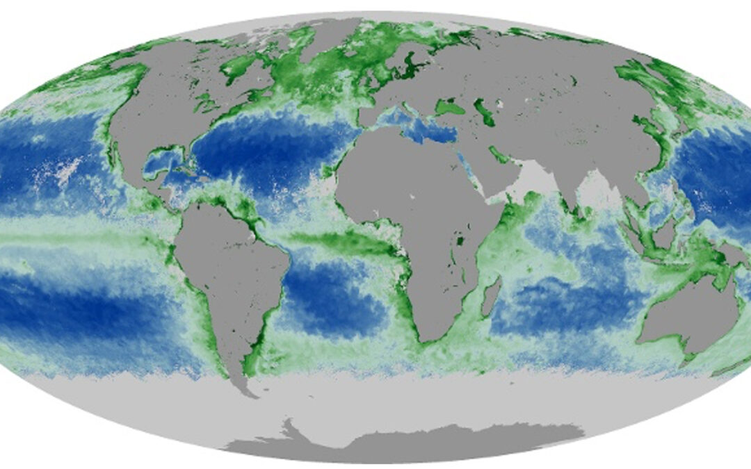 Clima, cresce la desertificazione oceanica a causa del cambiamento climatico
