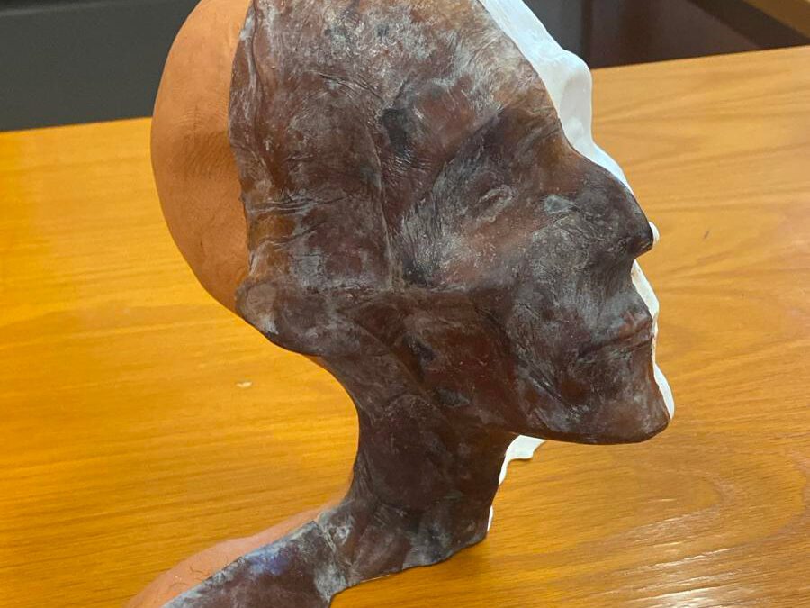 ENEA porta a Ferrara la ‘testa’ della mummia di Ramses II