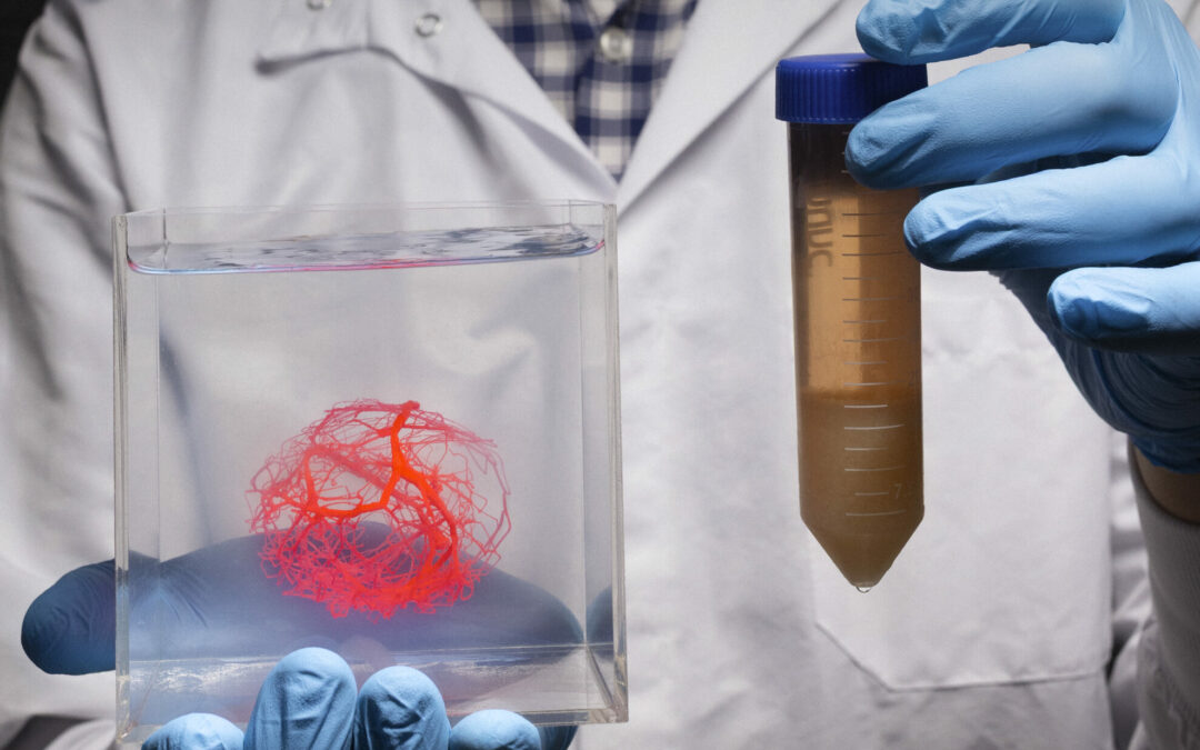 Nuova piattaforma progetta alberi vascolari su scala organica per la biostampa 3D