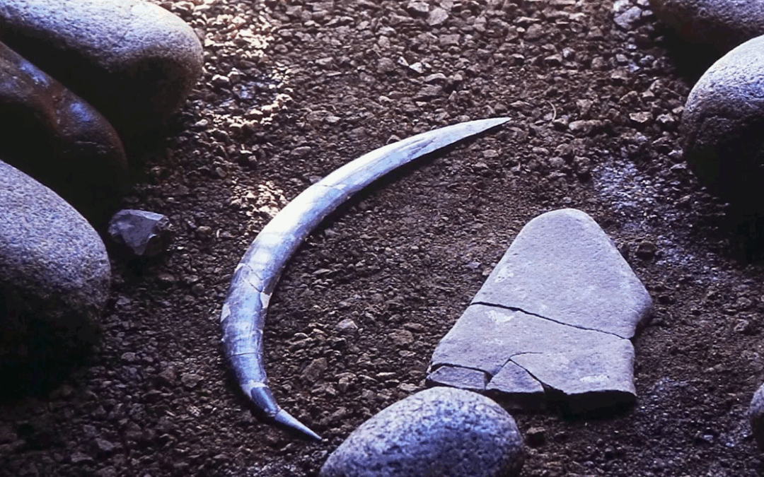 Il boomerang più antico d’Europa (e forse del mondo)