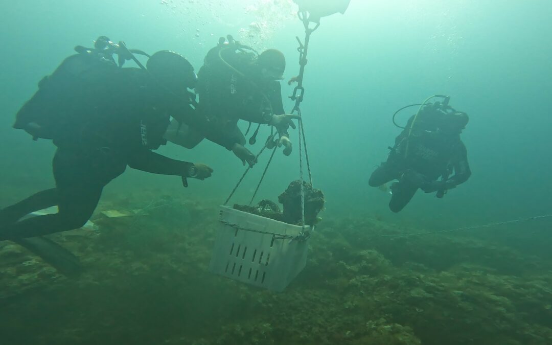 Archeologia: nelle acque tra Leuca e Novaglie trovato frammento in bronzo di antica statua