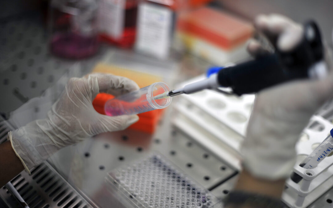 HIV, scoperti i codici del sistema immunitario
