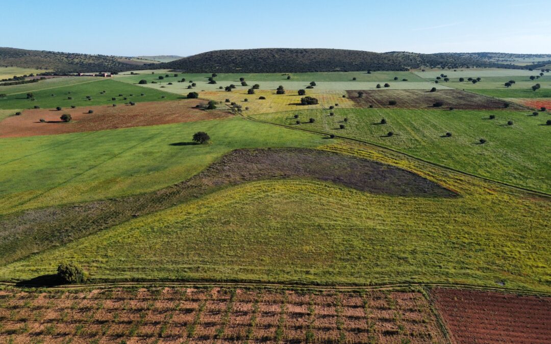 Studiosi, 20% della terra agricola torni alla natura per salvare la biodiversità