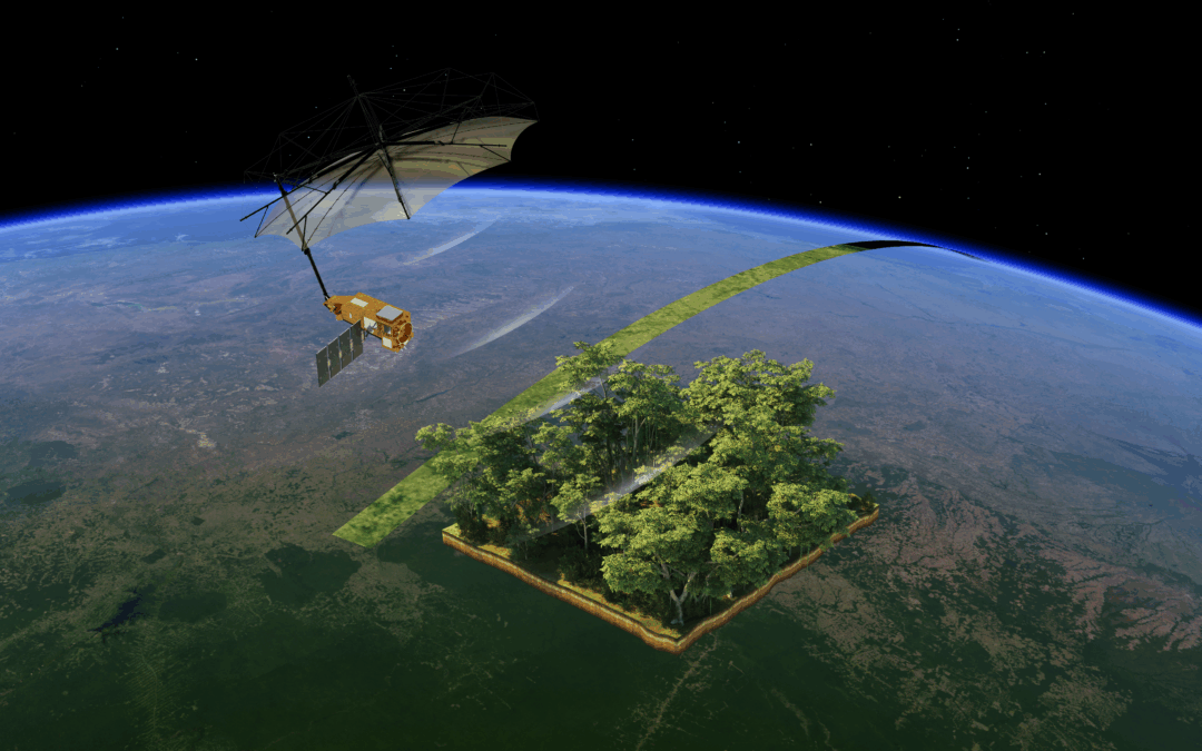 Il satellite Biomass restituisce le prime immagini sorprendenti di foreste