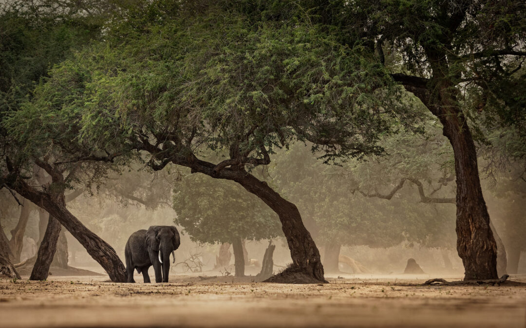 Prima di lasciare l’Africa, gli esseri umani impararono a prosperare in ambienti diversi
