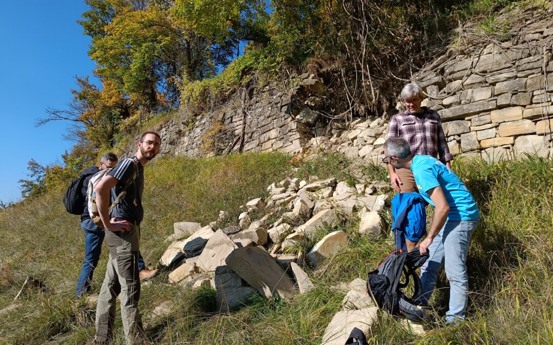 I terrazzamenti agricoli dell’Appennino settentrionale sono stati realizzati nel Medioevo