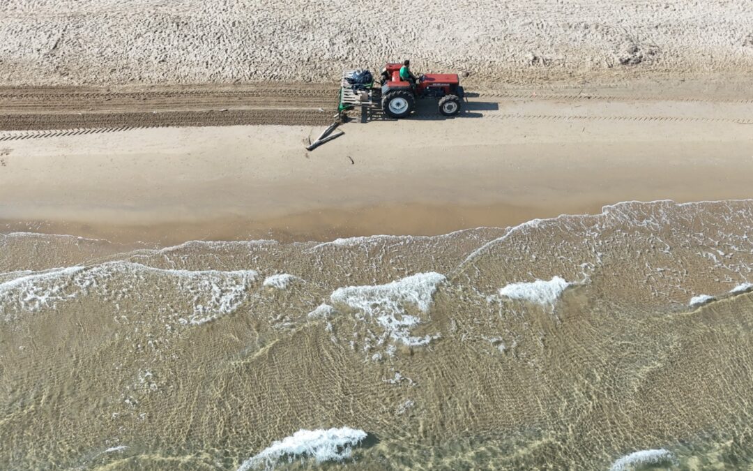 Spiagge sotto attacco, ruspe minacciano biodiversità