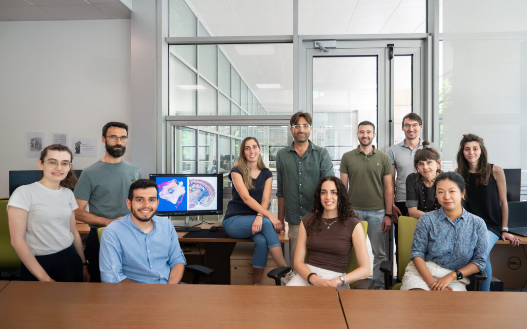 Messo a punto uno strumento bioinformatico per chi lavora con i dati più avanzati della biologia molecolare.