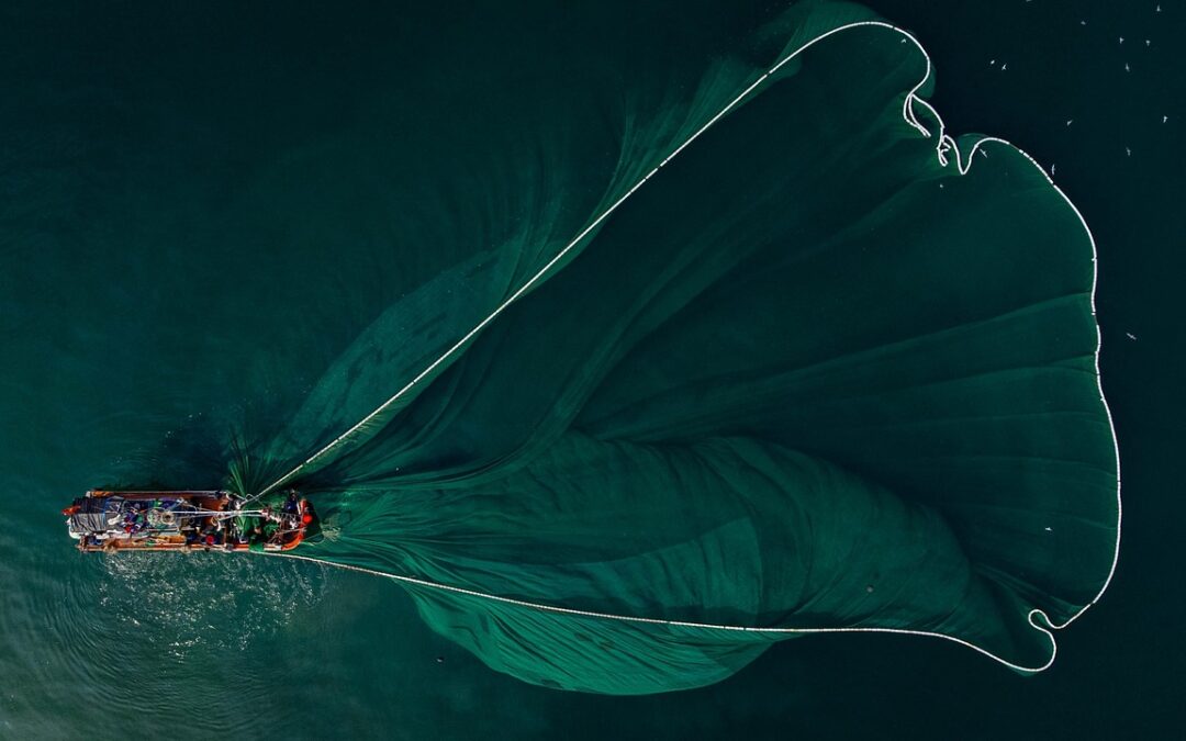 La pesca a strascico riduce la biodiversità del Mediterraneo