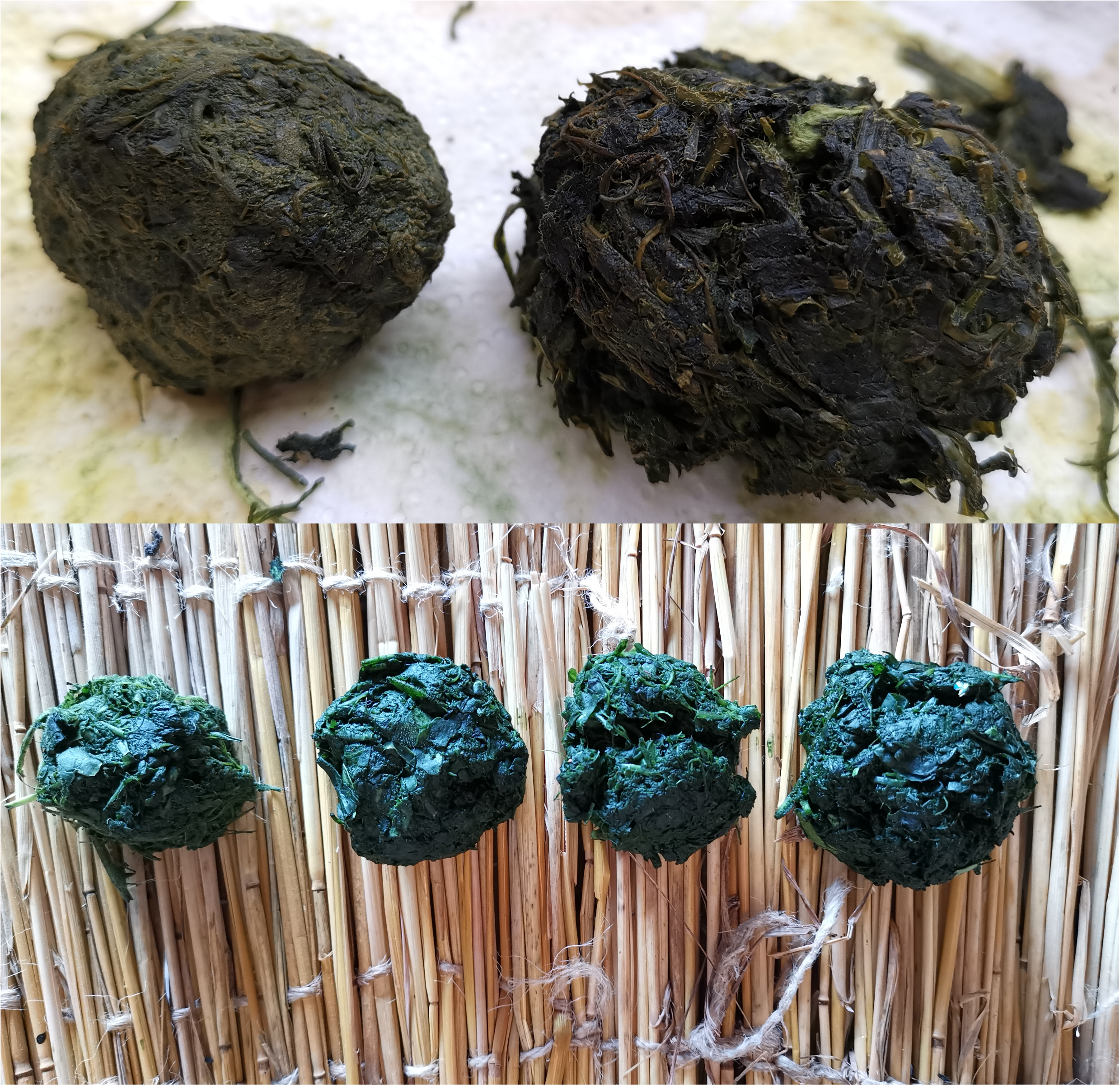 7_Cocagnes_Woad-balls