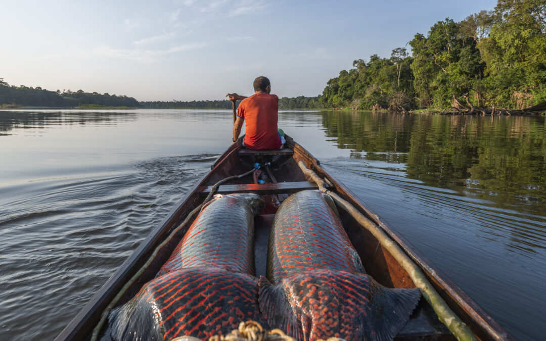 Amazzonia, la conservazione locale è efficace