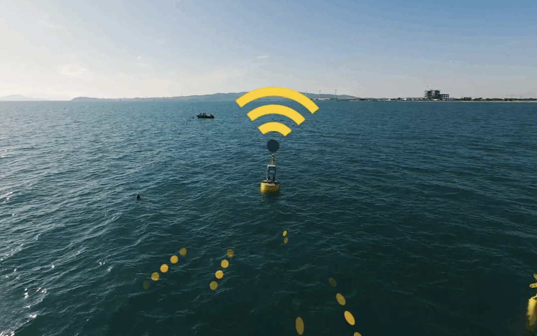 BIG Data per monitorare il mare a sostegno dell’acquacoltura. Parte a Follonica la sperimentazione