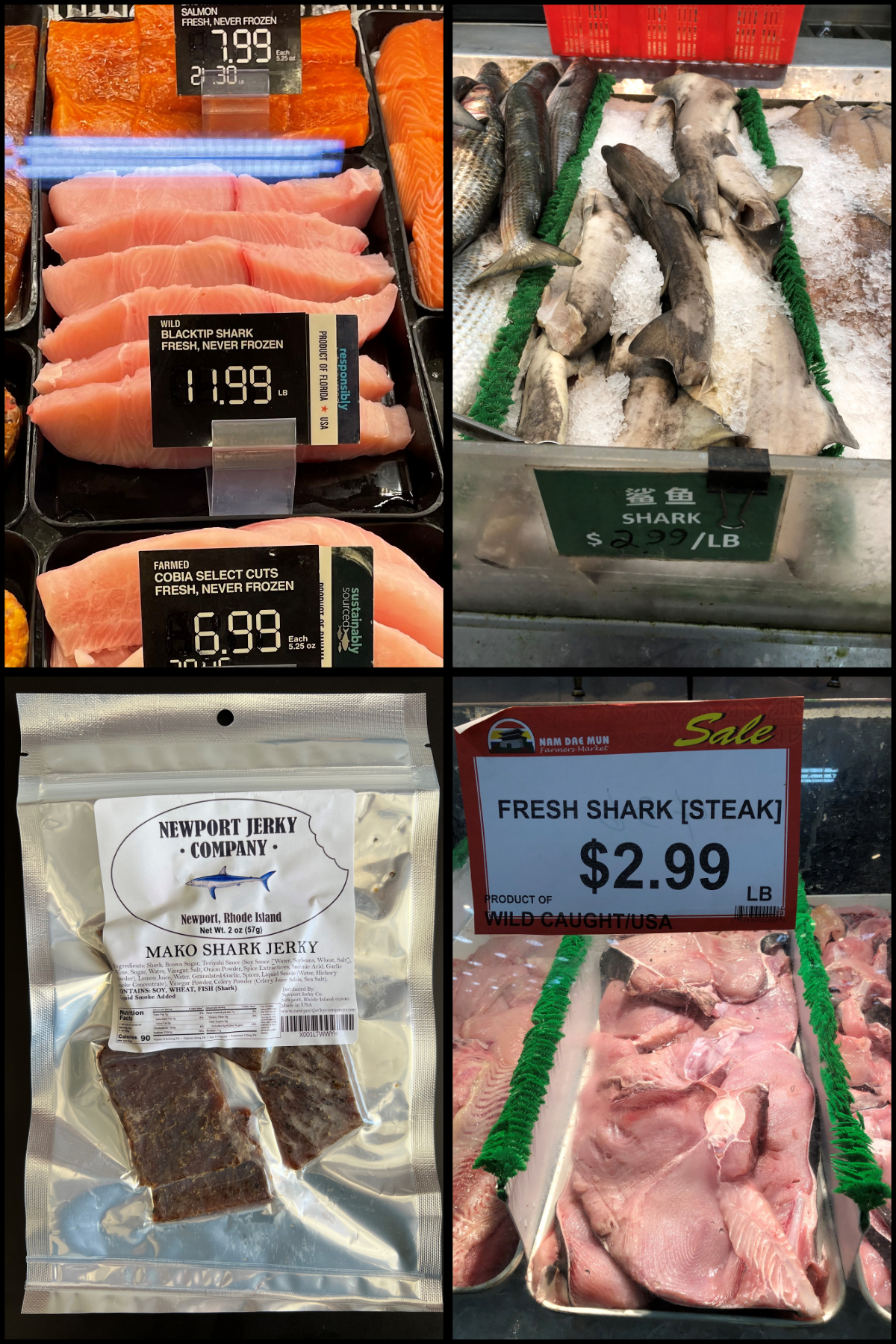 Shark Meat – Savannah Ryburn