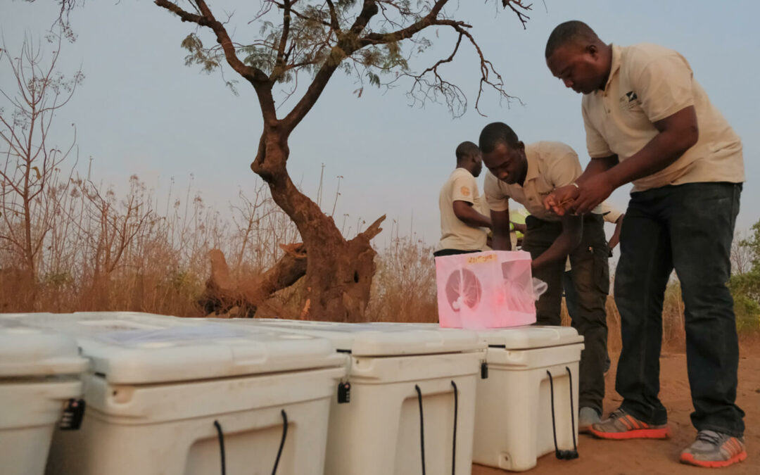 In Burkina Faso un raid della polizia sospende progetto genetico per combattere la malaria