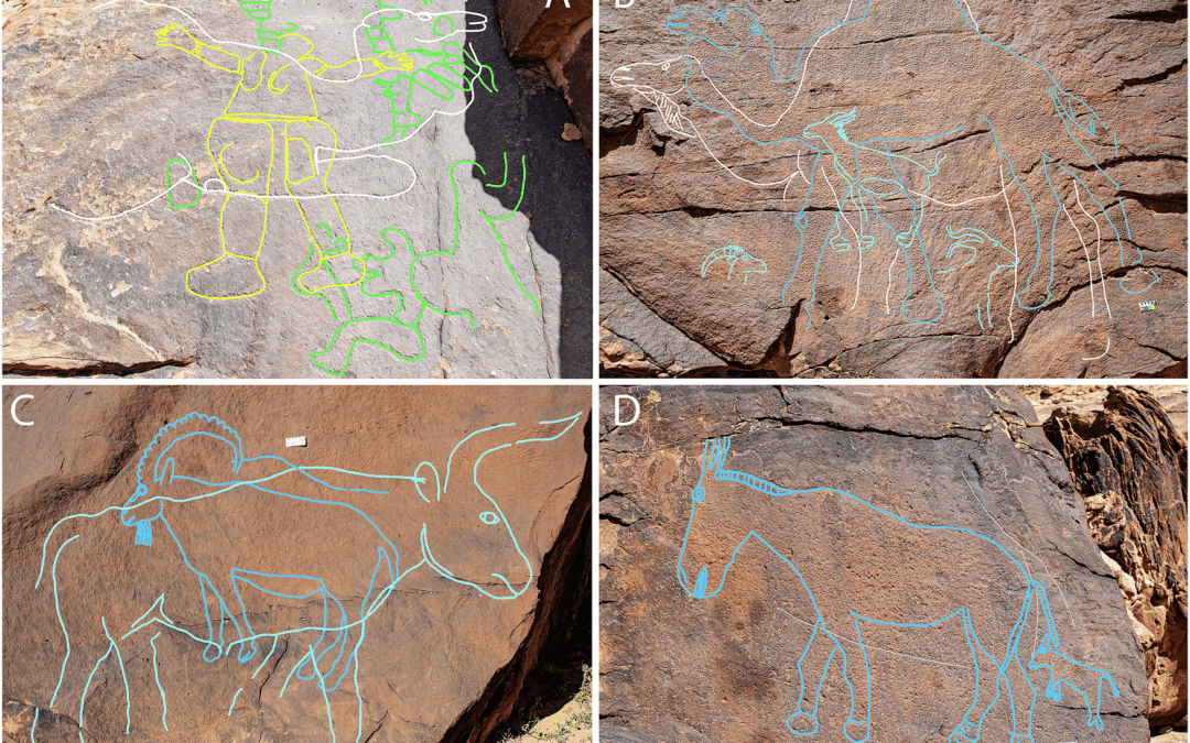 Arabia, l’arte rupestre descrive la fauna di 12mila anni fa
