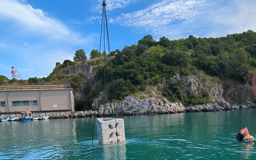 Liguria, installati i primi “reef” ENEA per rigenerare il mare