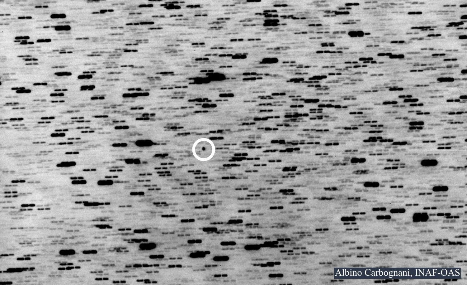 Comet_3I_Atlas_20250703_2245UTC_Loiano