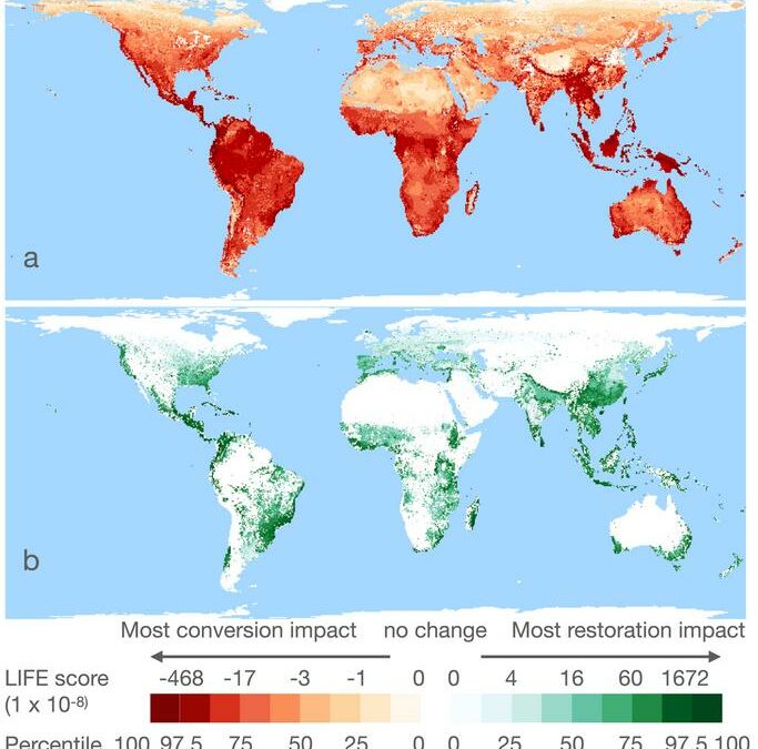 Ecco quanto la tua dieta mette a rischio di estinzione gli animali