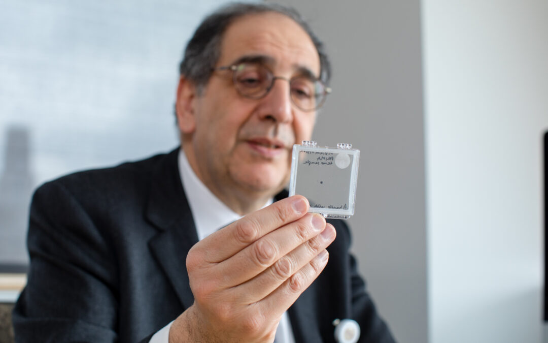 Realizzato impianto retinico che ripristina la visione negli anziani