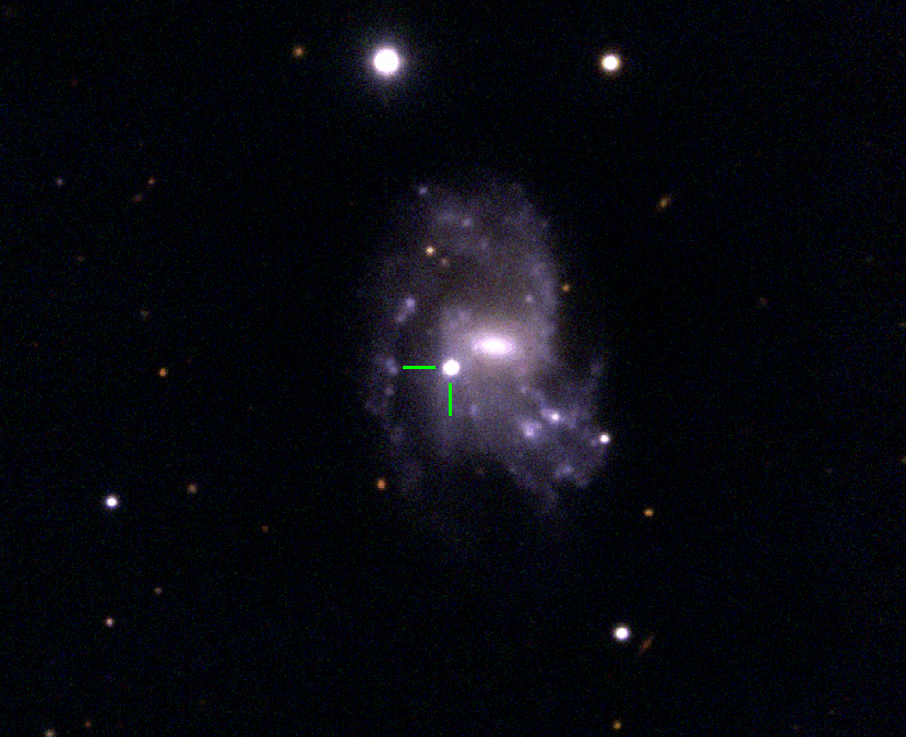 Scoperta supernova asociale