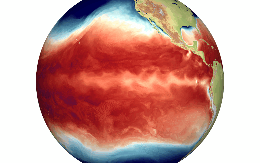 El Niño si intensifica e cambia volto in arrivo cicli regolari e più estremi con effetti globali “a frusta”