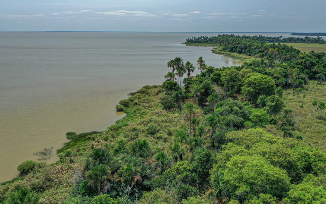 Temperature sopra i 41 gradi per le acque dei laghi amazzonici durante siccità del 2023