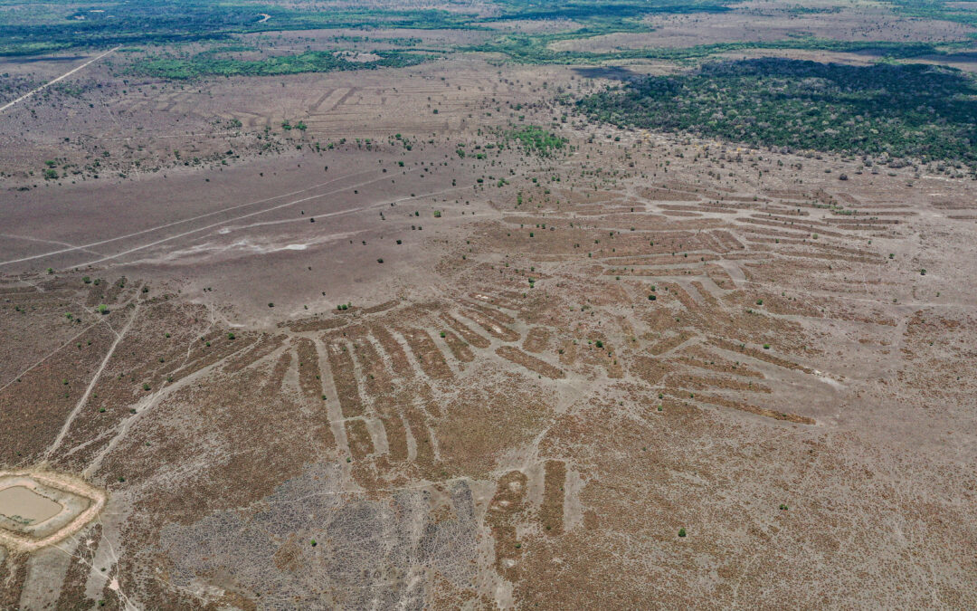 Il paesaggio amazzonico è stato modellato da civiltà precolombiane per oltre un millennio