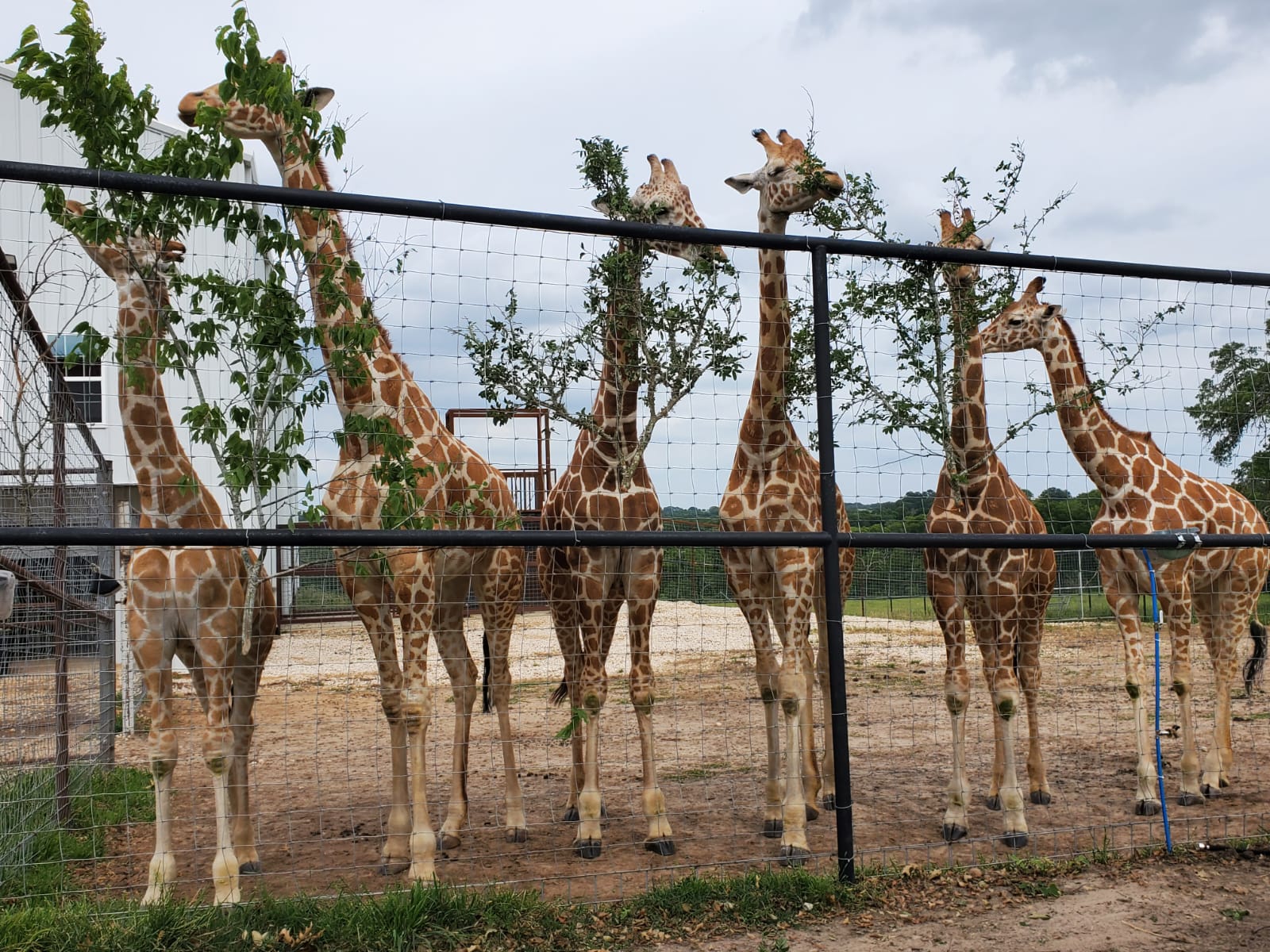 7ac56740-6db3-4917-88e7-d34ceffe6639