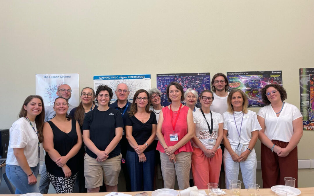 Cellule T “ribelli” nel cervello, così nasce l’infiammazione neurotossica dell’Alzheimer