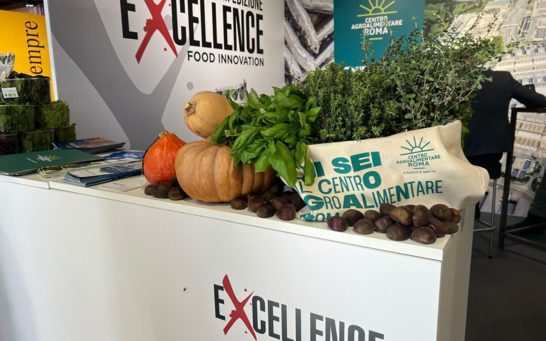 Da esperta un vademecum autunnale su cibo e longevità